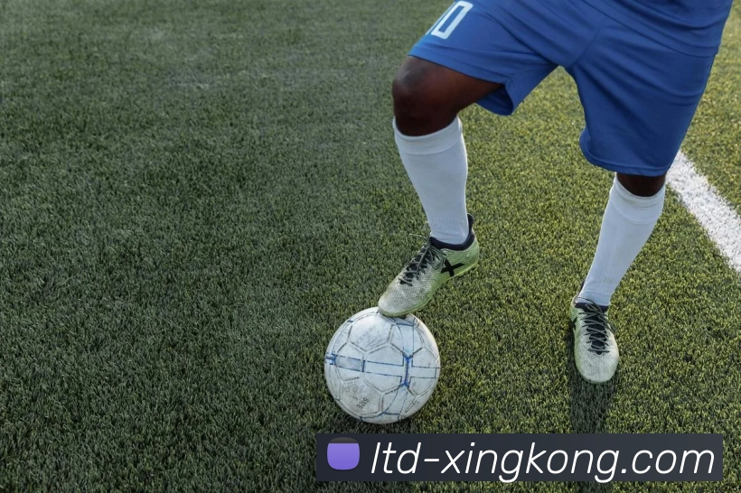 多媒体互动体验